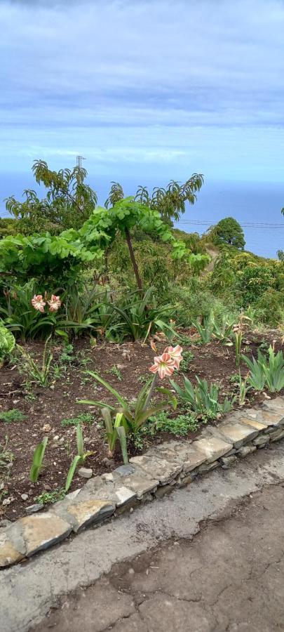 Villa Casa Nieves De Mario Santa Cruz de la Palma  Esterno foto