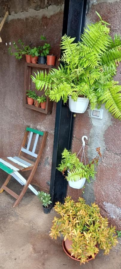Villa Casa Nieves De Mario Santa Cruz de la Palma  Esterno foto