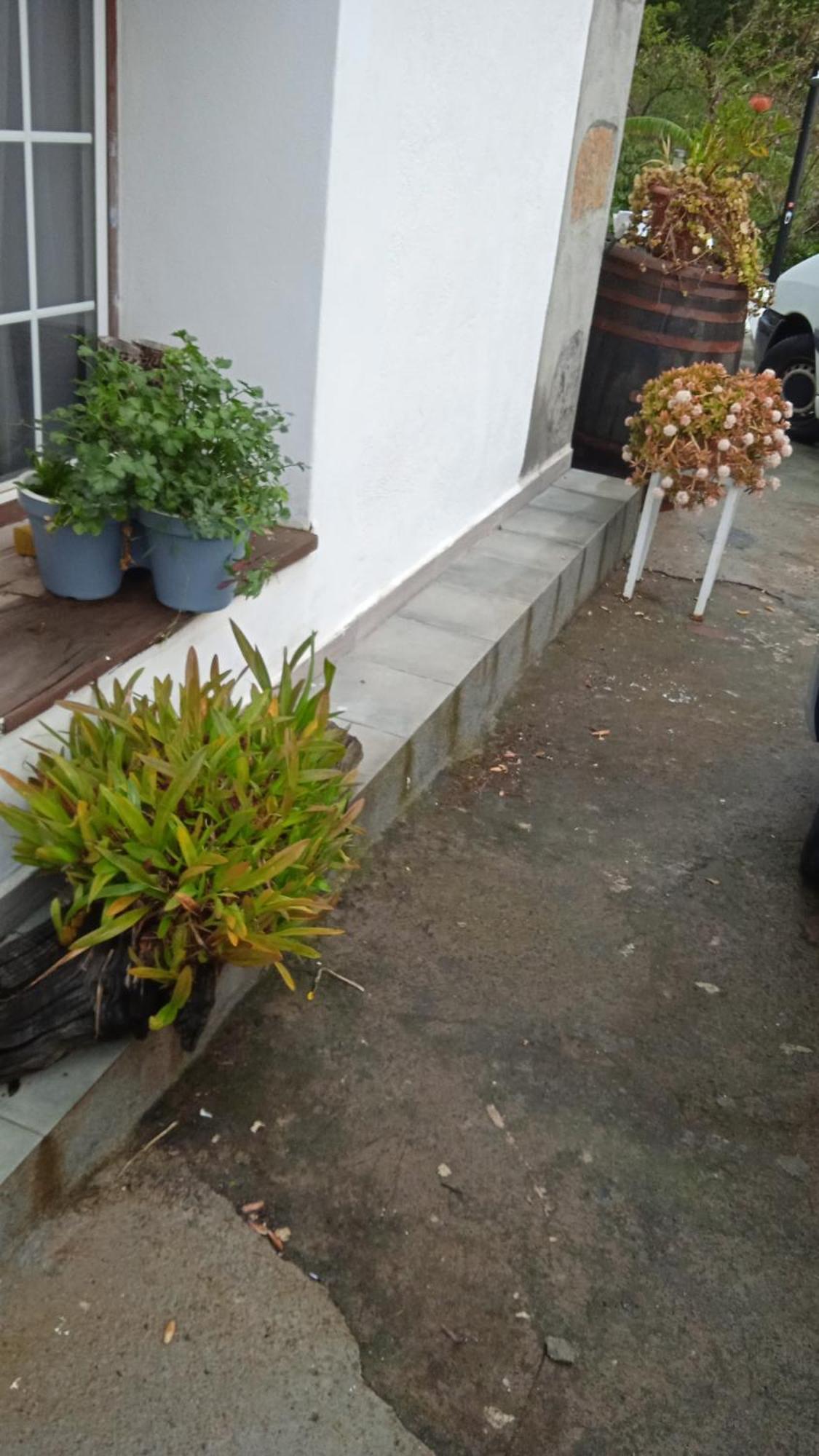 Villa Casa Nieves De Mario Santa Cruz de la Palma  Esterno foto