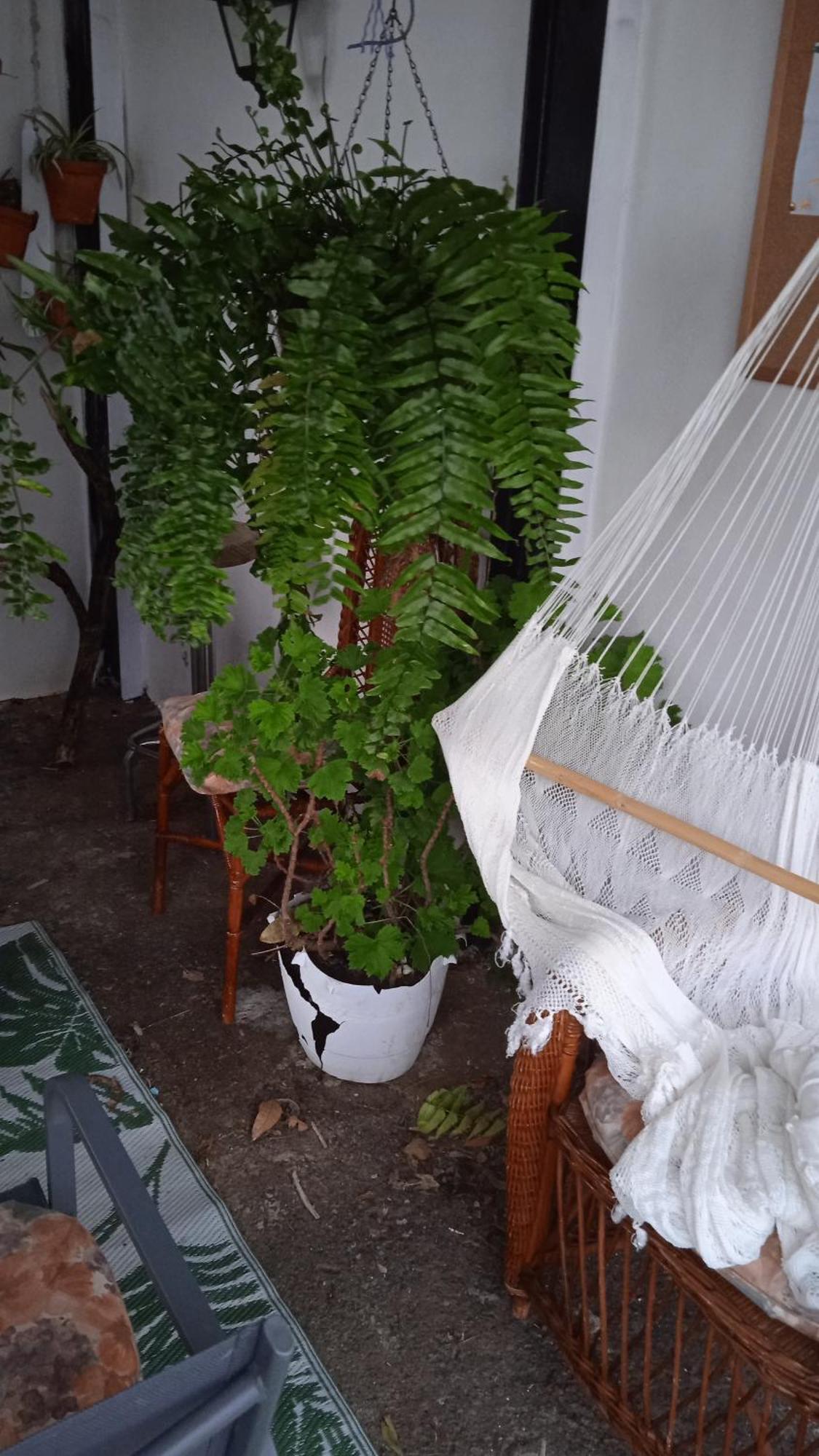Villa Casa Nieves De Mario Santa Cruz de la Palma  Esterno foto